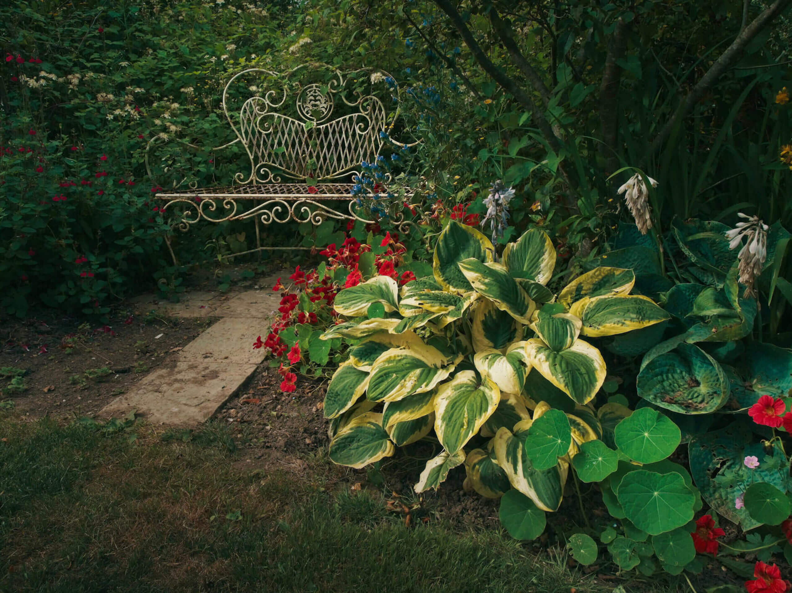 White garden bench next to flowers.
