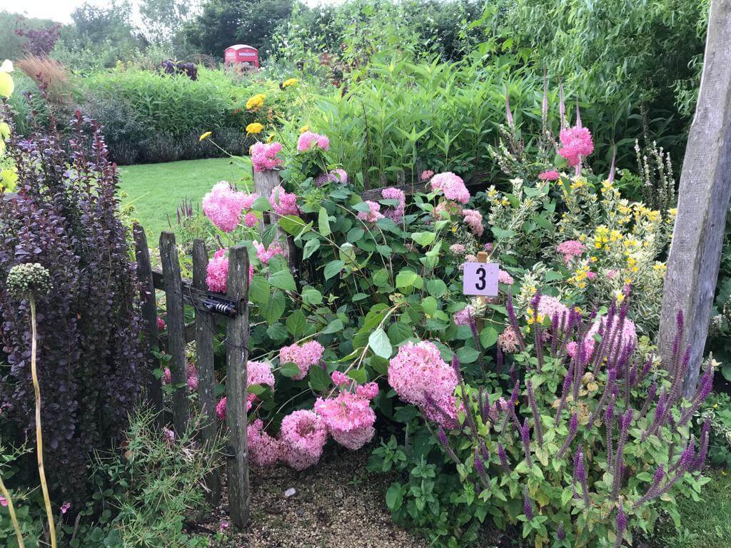 A mixture of flowers and plants at The Cottage Gardens.