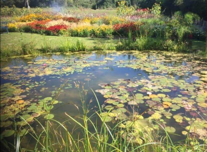 A mixture of flowers and plants around a pond at The Cottage Gardens.