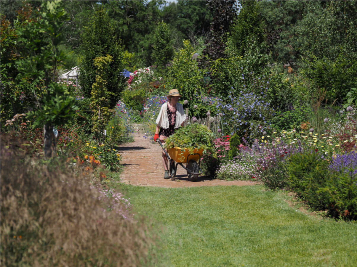 Gardener pushing a wheelbarrow at The Cottage Gardens.